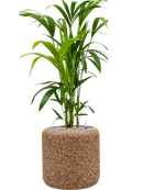 Pot naturescast® cylinder marron