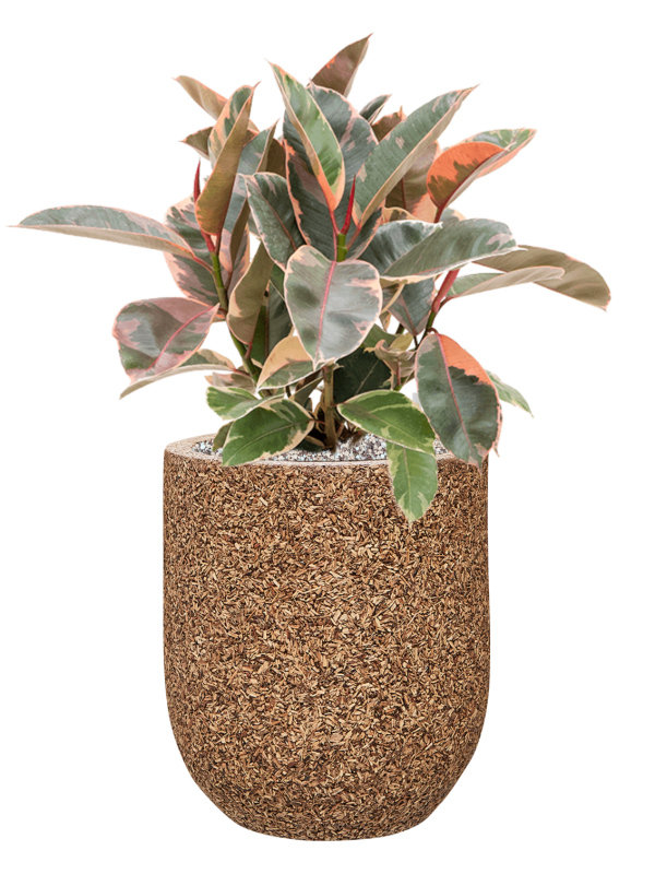 Pot naturescast® couple marron