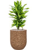 Pot naturescast® couple marron