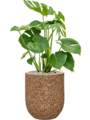 Pot naturescast® couple marron