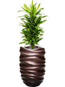 Pot gradient partner marron