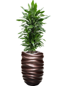 Pot gradient partner marron