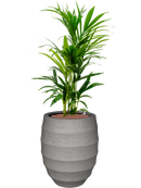 Pot bordo couple grise