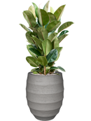 Pot bordo couple grise