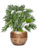 Pot opus couple d'or