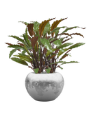 Pot luxe lite globe multicolore