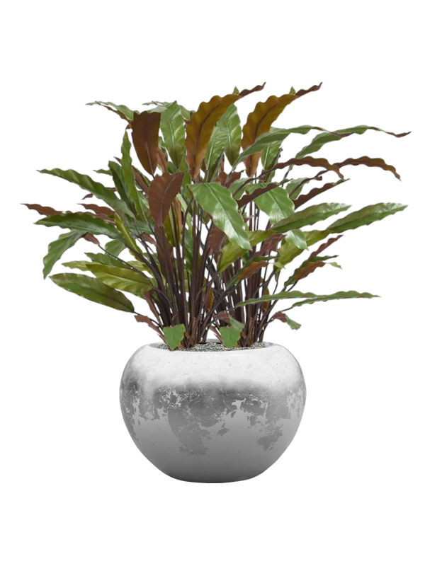 Pot luxe lite globe multicolore