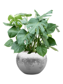 Pot luxe lite globe multicolore