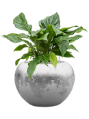 Pot luxe lite globe multicolore