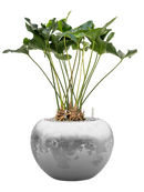 Pot luxe lite globe multicolore