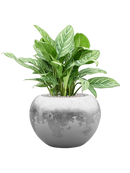 Pot luxe lite globe multicolore