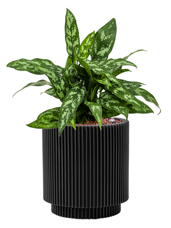 Pot nature groove cylinder noire