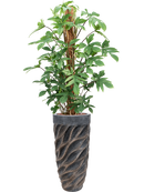 Pot luxe lite partner bronze