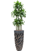 Pot luxe lite partner bronze