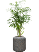 Pot naturescast® cylinder grise
