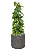 Pot naturescast® cylinder grise