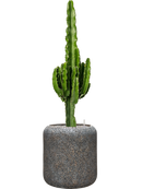 Pot naturescast® cylinder grise