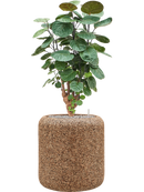 Pot naturescast® cylinder marron