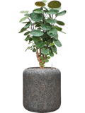 Pot naturescast® cylinder grise