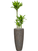 Pot naturescast® partner grise