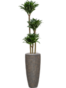 Pot naturescast® partner grise