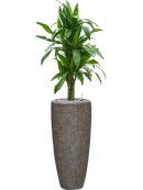 Pot naturescast® partner grise