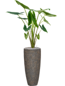 Pot naturescast® partner grise