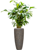 Pot naturescast® partner grise