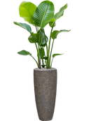 Pot naturescast® partner grise