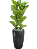 Pot vogue partner noire