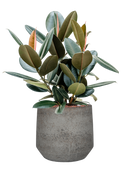 Pot cement & stone couple grise