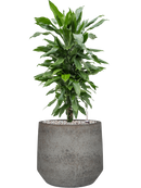 Pot cement & stone couple grise