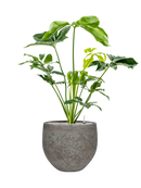 Pot cement & stone couple grise