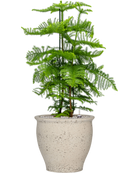 Pot mediterranean couple blanche