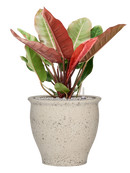 Pot mediterranean couple blanche