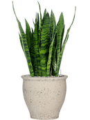 Pot mediterranean couple blanche