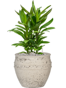 Pot mediterranean couple blanche