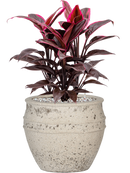 Pot mediterranean couple blanche