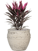 Pot mediterranean couple blanche