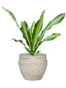 Pot mediterranean couple blanche