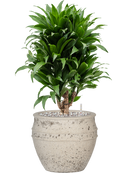 Pot mediterranean couple blanche