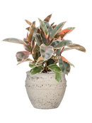 Pot mediterranean couple blanche