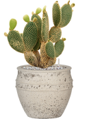 Pot mediterranean couple blanche