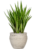 Pot mediterranean couple blanche