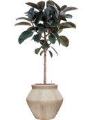 Pot mineral emperor beige