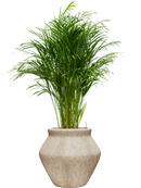 Pot mineral emperor beige