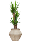 Pot mineral emperor beige