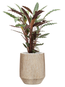 Pot mineral darcy beige