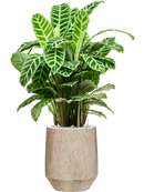 Pot mineral darcy beige