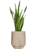 Pot mineral darcy beige